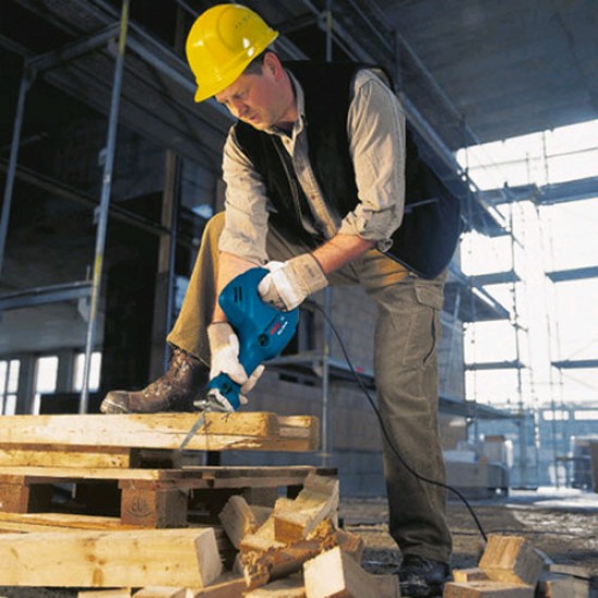 Σπαθοσέγα- 03112